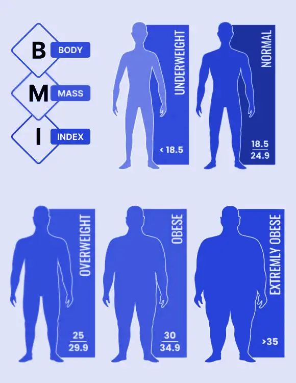 BMI Calculator Chart | BMI Stands For | Bindbio