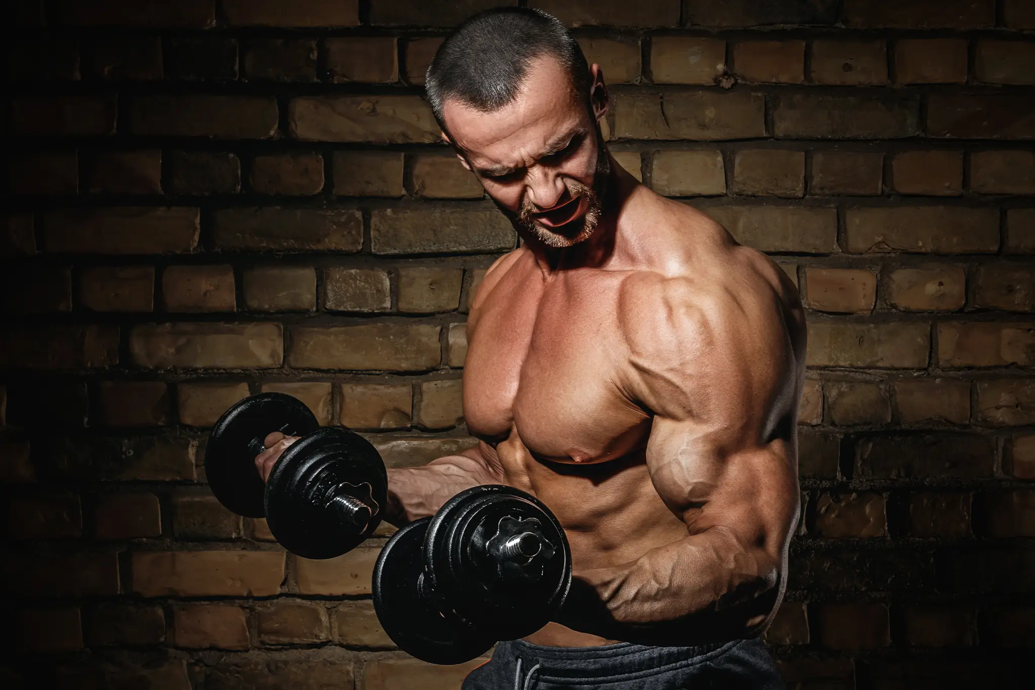 Trusted Peptides Vendors Image Home | Bindbio