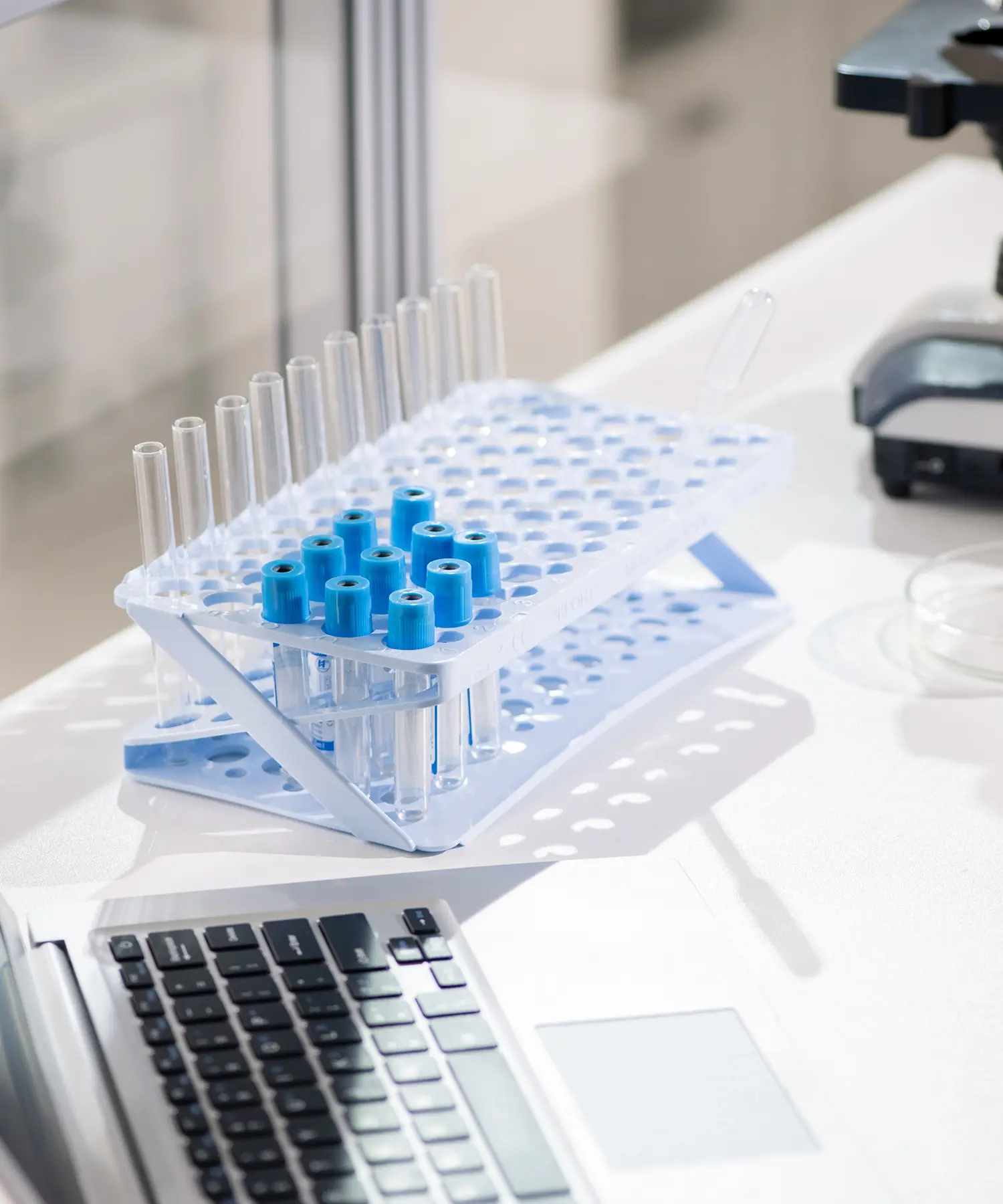 Trusted Vendors Image 2 | Bindbio